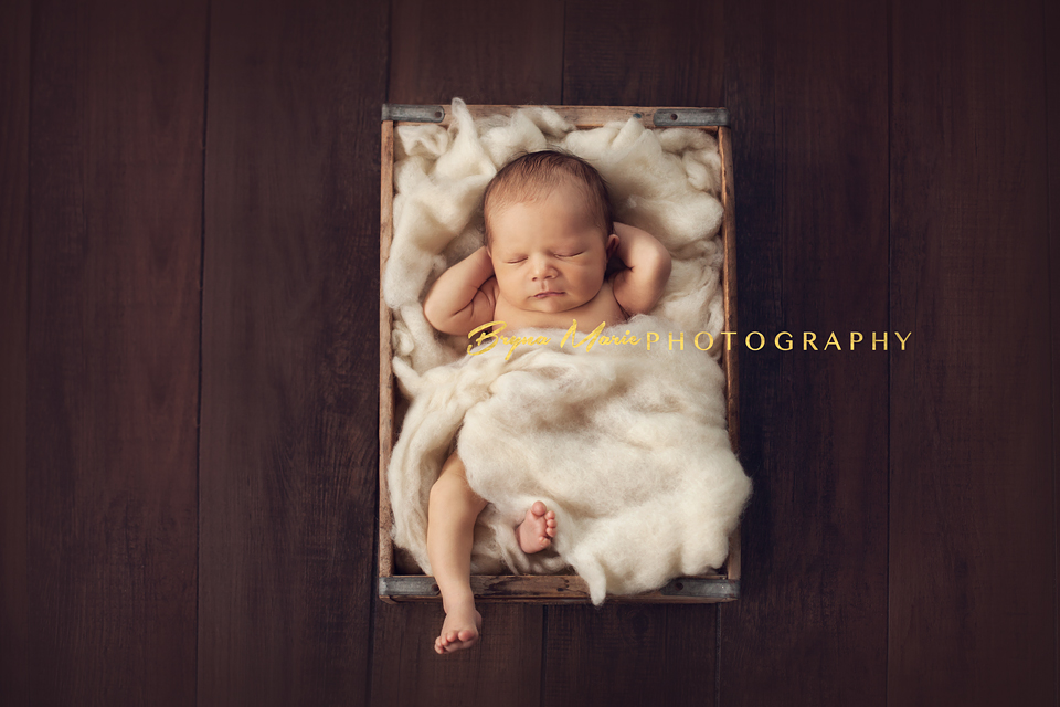 Canyon Lake Newborn Photographer