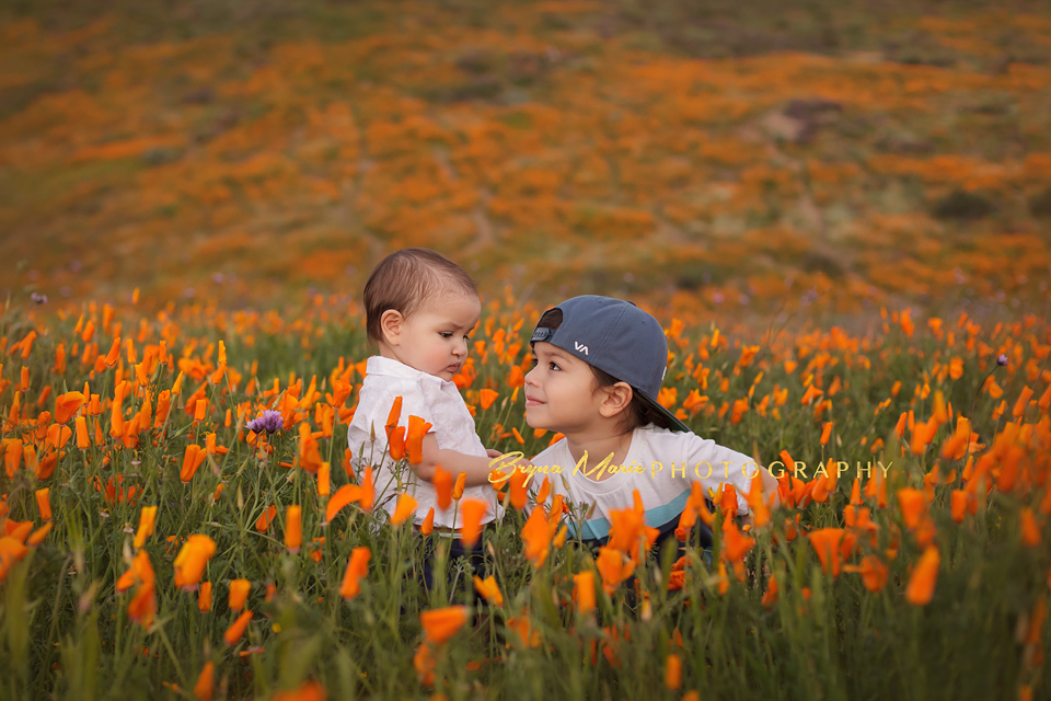 Murrieta Children Photographer