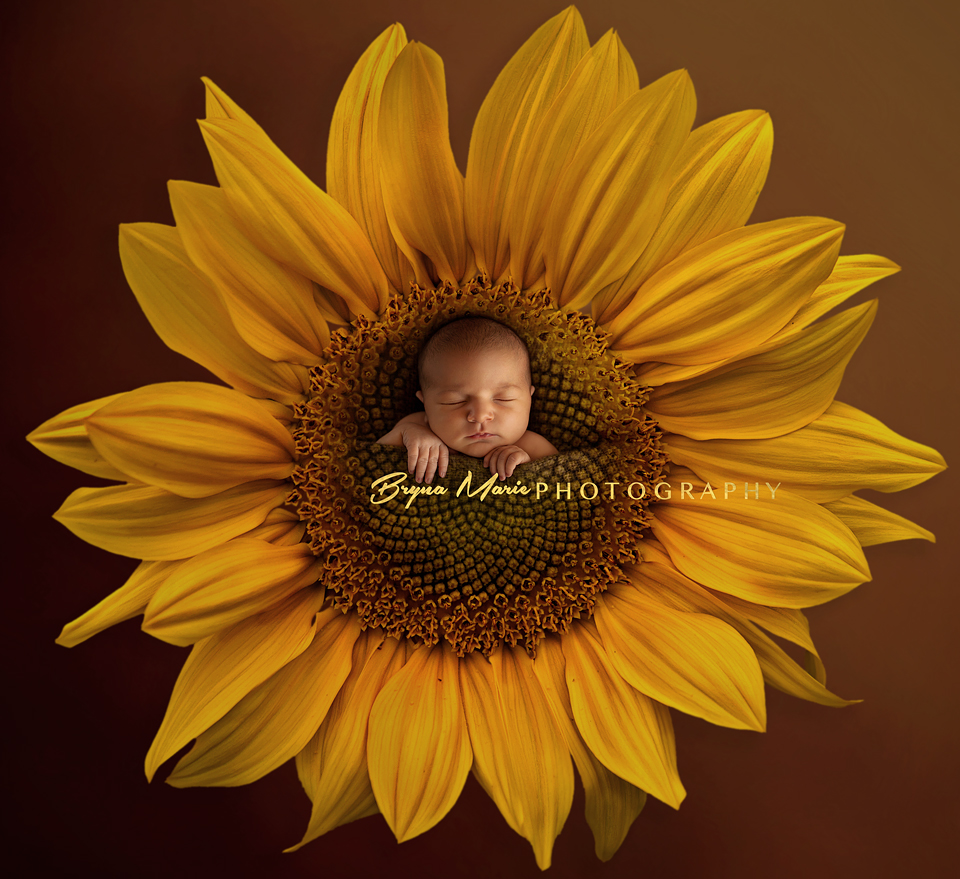 Menifee Newborn Photographer